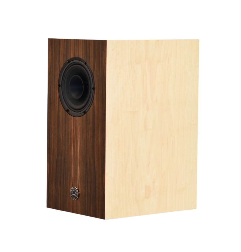 Free Shipping Western Europe Special: Super Alnico Monitor – Two-Tone Ziricote & Maple Finish