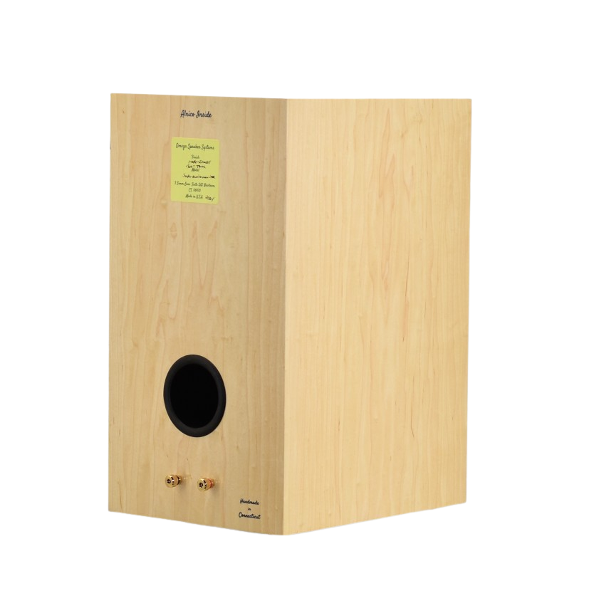 Free Shipping Western Europe Special: Super Alnico Monitor – Two-Tone Ziricote & Maple Finish