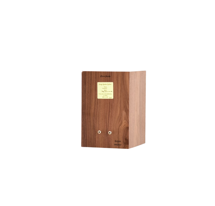 Available Now-Baby Alnico Monitor Blem in matched Walnut