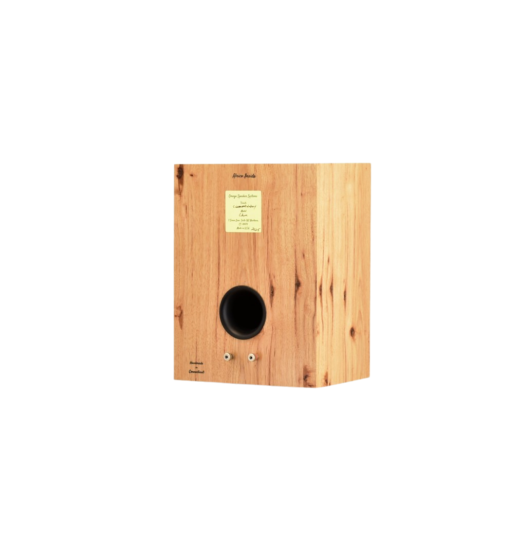 Available Now/CAMs (Compact Alnico Monitors) in Character Hickory with Vintage Grills