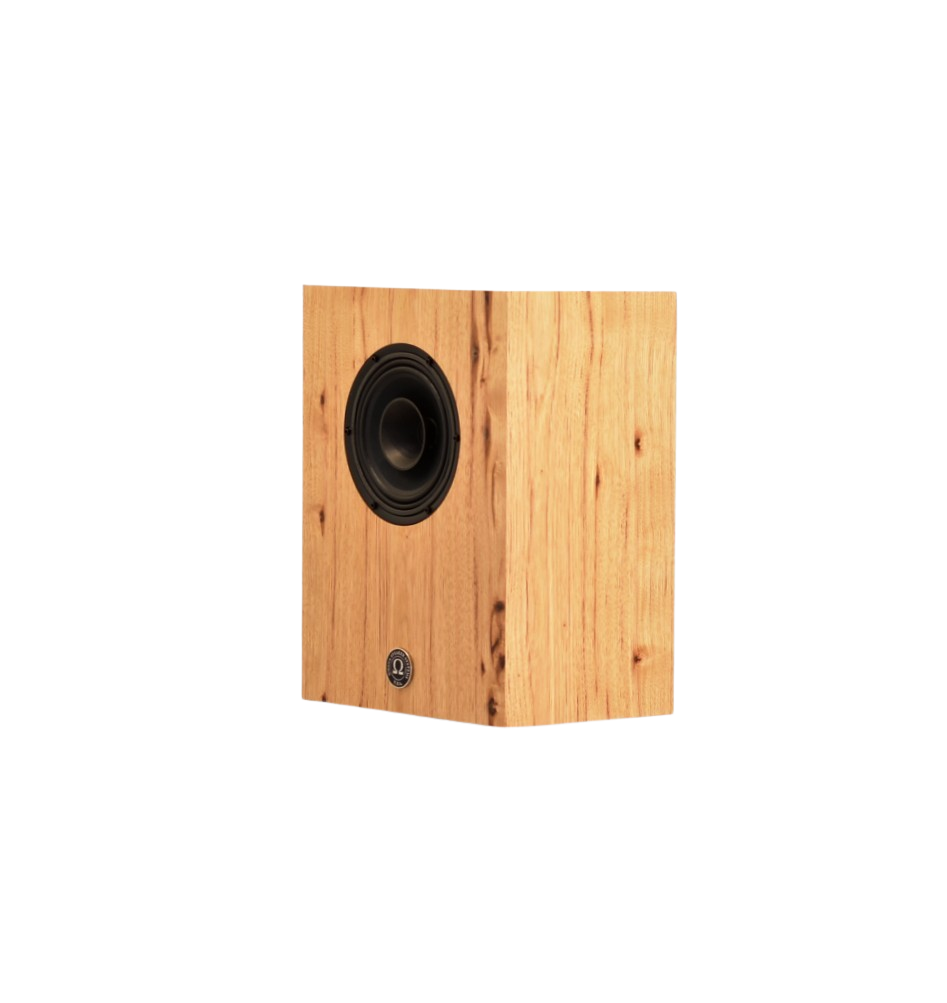 Available Now/CAMs (Compact Alnico Monitors) in Character Hickory with Vintage Grills