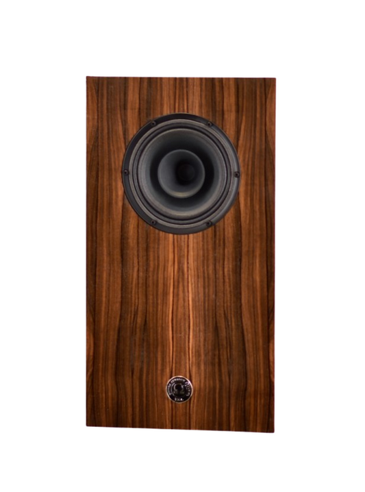 Free Shipping Western Europe Special: Super Alnico Monitor – Two-Tone Ziricote & Maple Finish