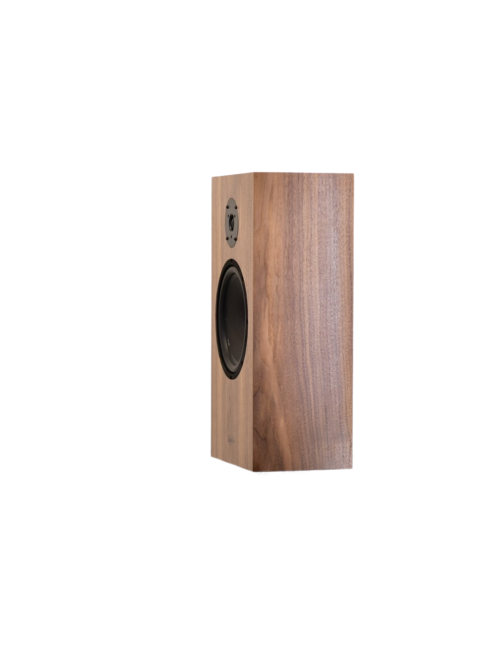 Available Now DynaTen J25 Special in Matched Walnut