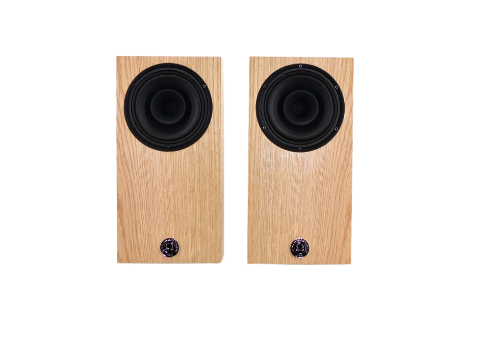 Available Now Modern Compact Alnico Monitor Special