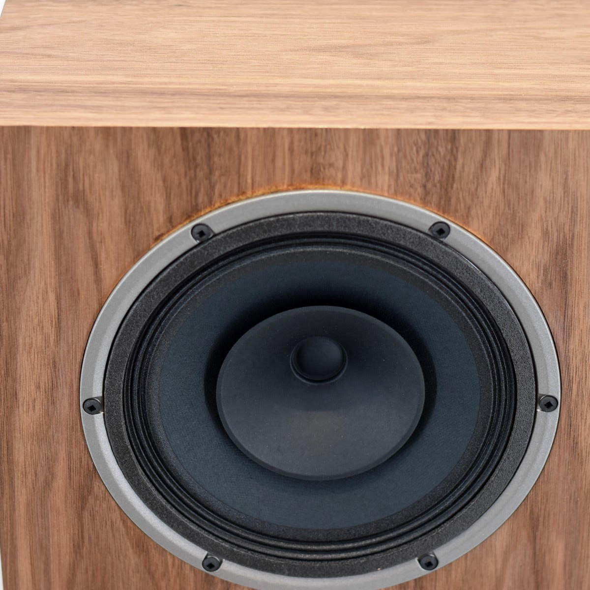 Available Now Junior 8 XRS in Walnut Blemished Sale