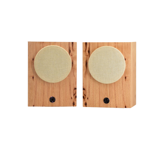 Available Now/CAMs (Compact Alnico Monitors) in Character Hickory with Vintage Grills