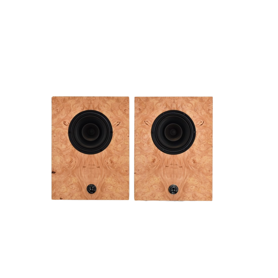 Available Now - B stock Compact Alnico Monitor 2 tone Maple Burl/Fumed White Oak