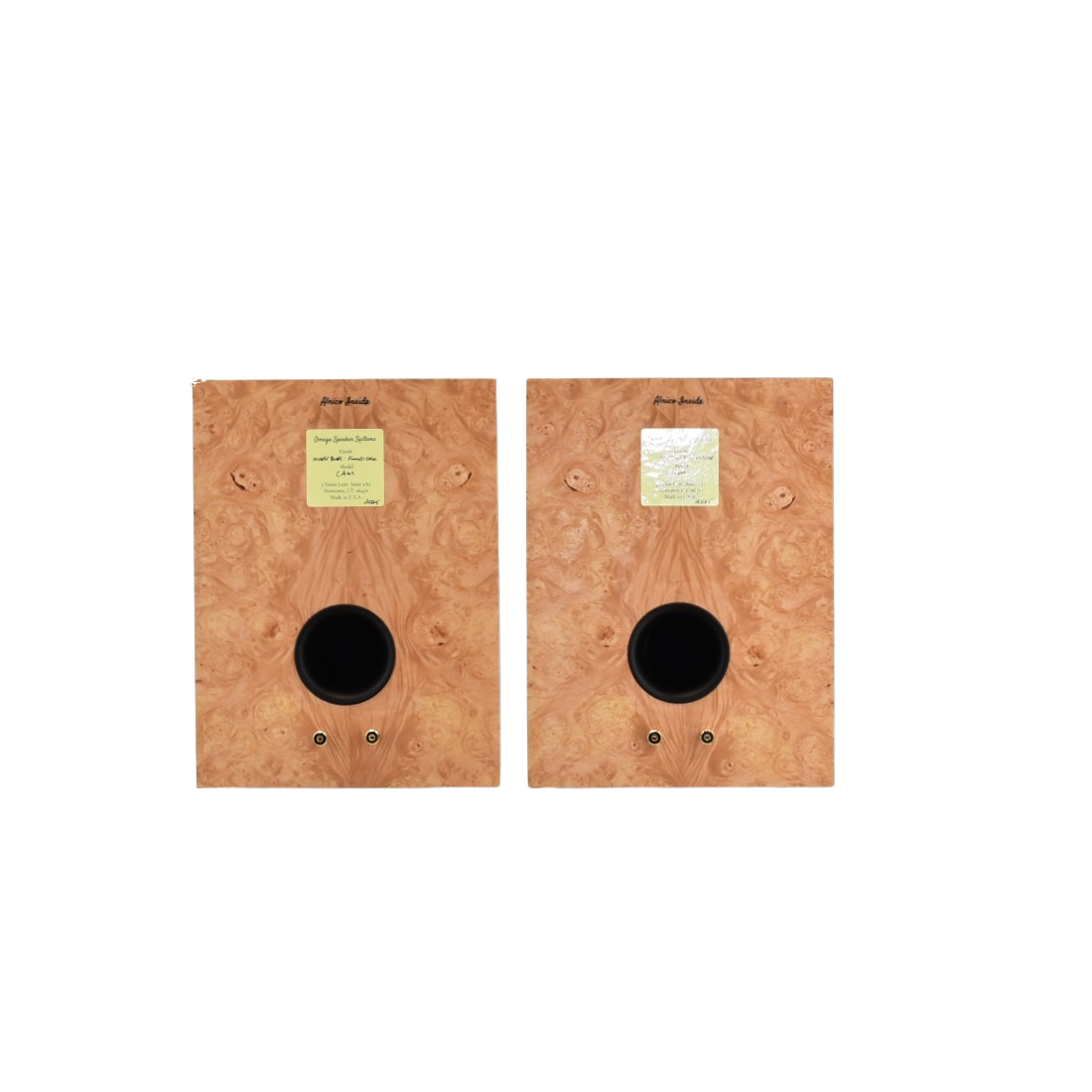 Available Now - B stock Compact Alnico Monitor 2 tone Maple Burl/Fumed White Oak