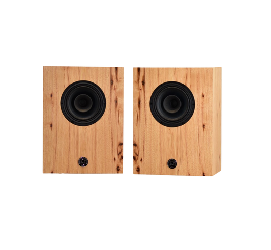 Available Now/CAMs (Compact Alnico Monitors) in Character Hickory with Vintage Grills