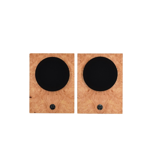 Available Now - B stock Compact Alnico Monitor 2 tone Maple Burl/Fumed White Oak